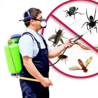 pest control Glenwood
